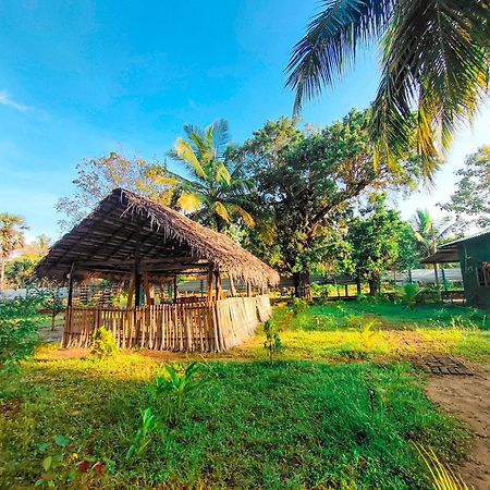 Wilpattu Green Cabin Achchamulai Εξωτερικό φωτογραφία