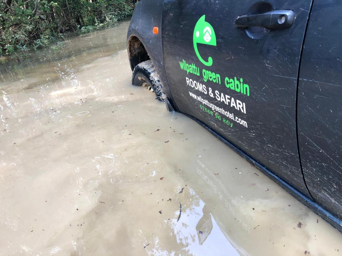 Wilpattu Green Cabin Achchamulai Εξωτερικό φωτογραφία