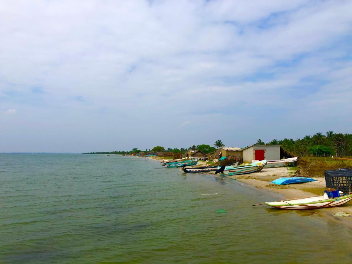 Wilpattu Green Cabin Achchamulai Εξωτερικό φωτογραφία