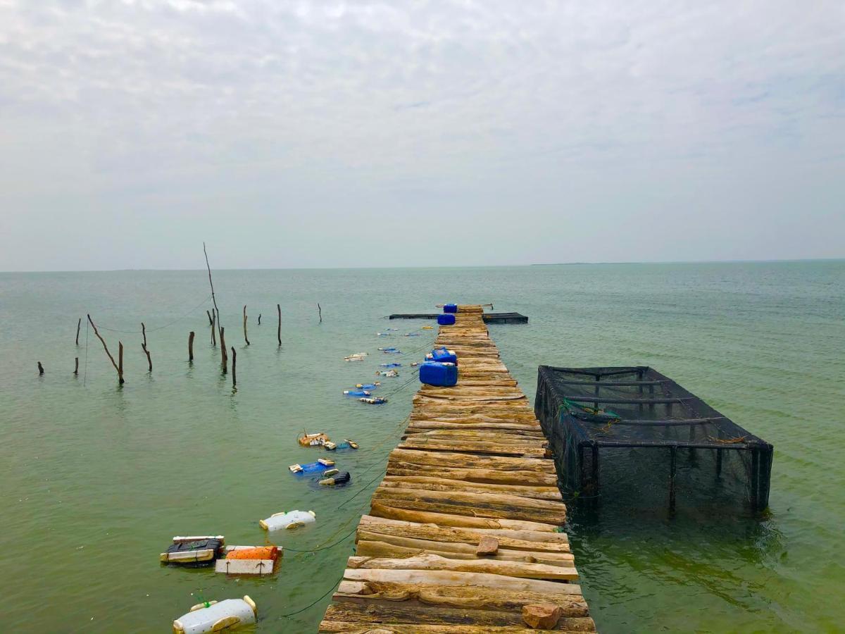 Wilpattu Green Cabin Achchamulai Εξωτερικό φωτογραφία