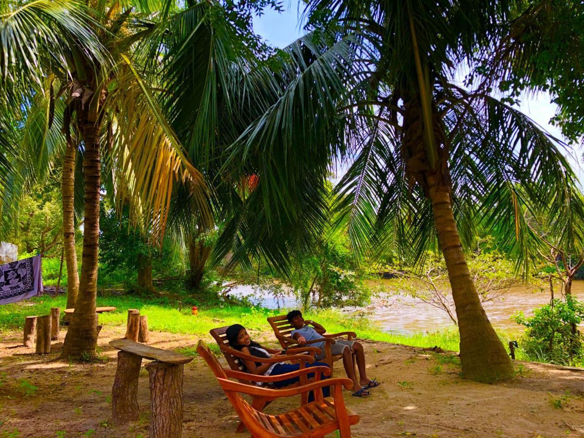 Wilpattu Green Cabin Achchamulai Εξωτερικό φωτογραφία