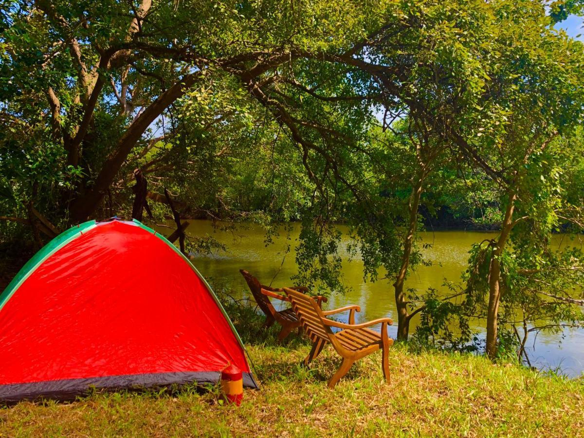 Wilpattu Green Cabin Achchamulai Εξωτερικό φωτογραφία