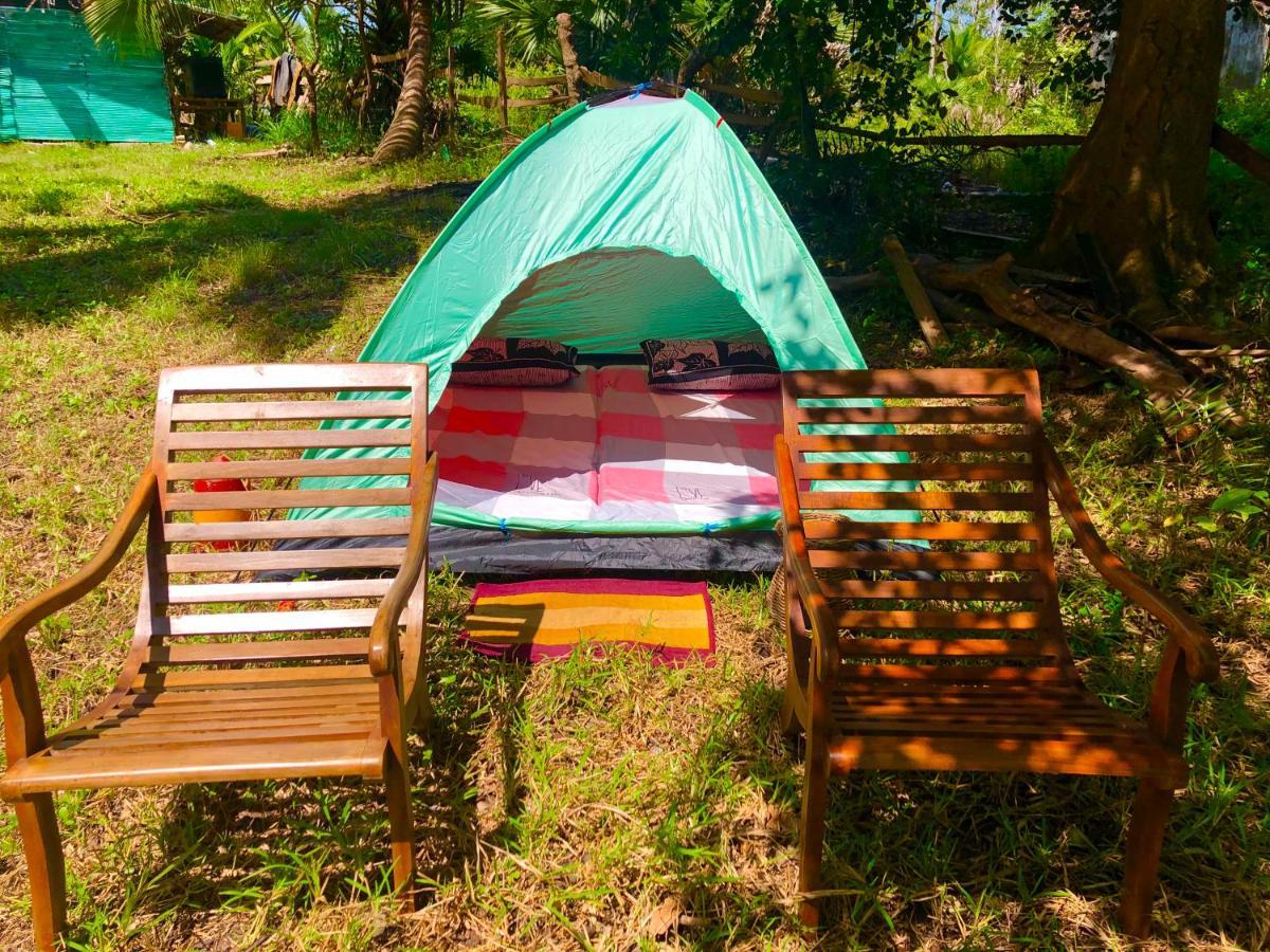 Wilpattu Green Cabin Achchamulai Εξωτερικό φωτογραφία