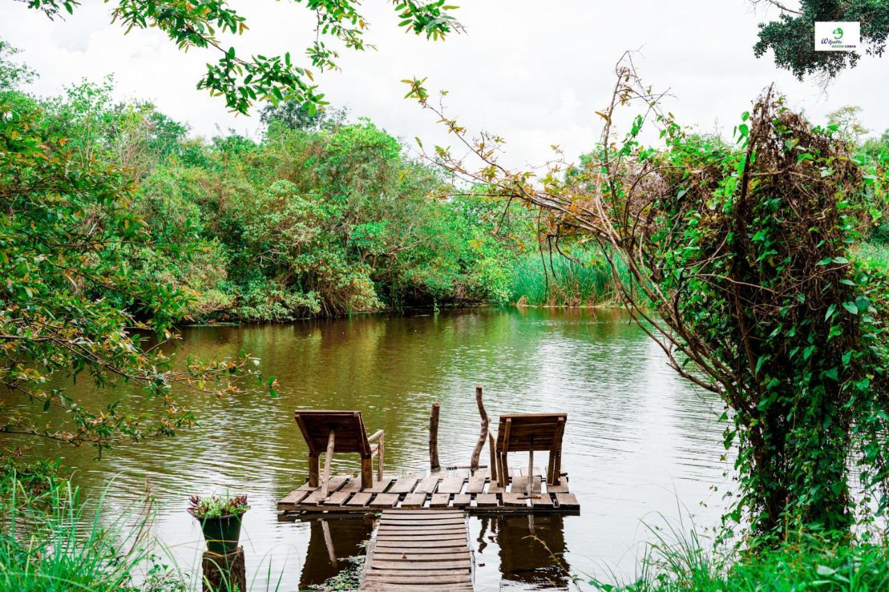 Wilpattu Green Cabin Achchamulai Εξωτερικό φωτογραφία