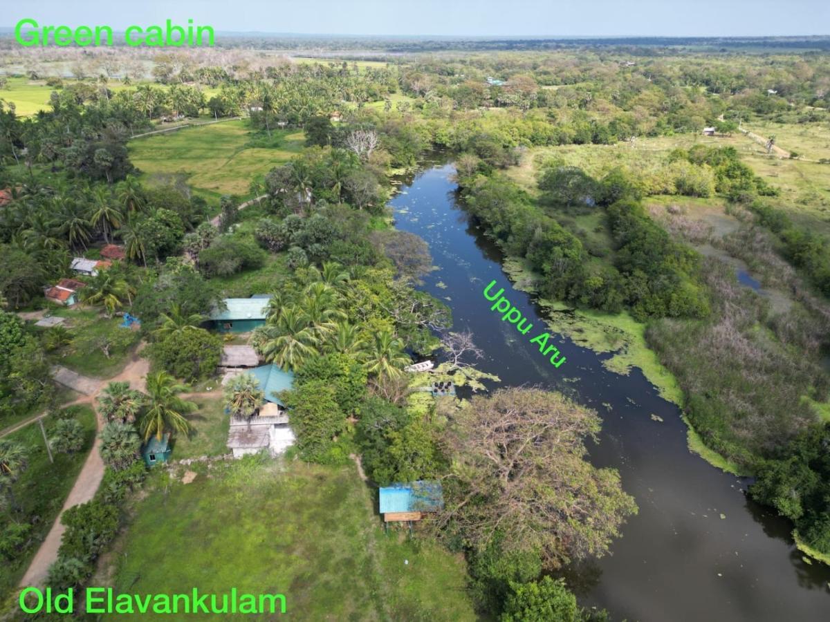 Wilpattu Green Cabin Achchamulai Εξωτερικό φωτογραφία