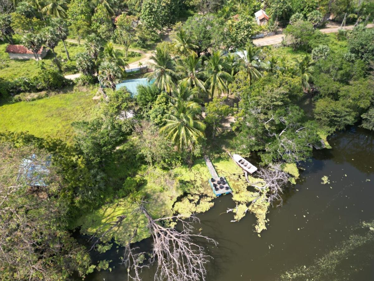 Wilpattu Green Cabin Achchamulai Εξωτερικό φωτογραφία