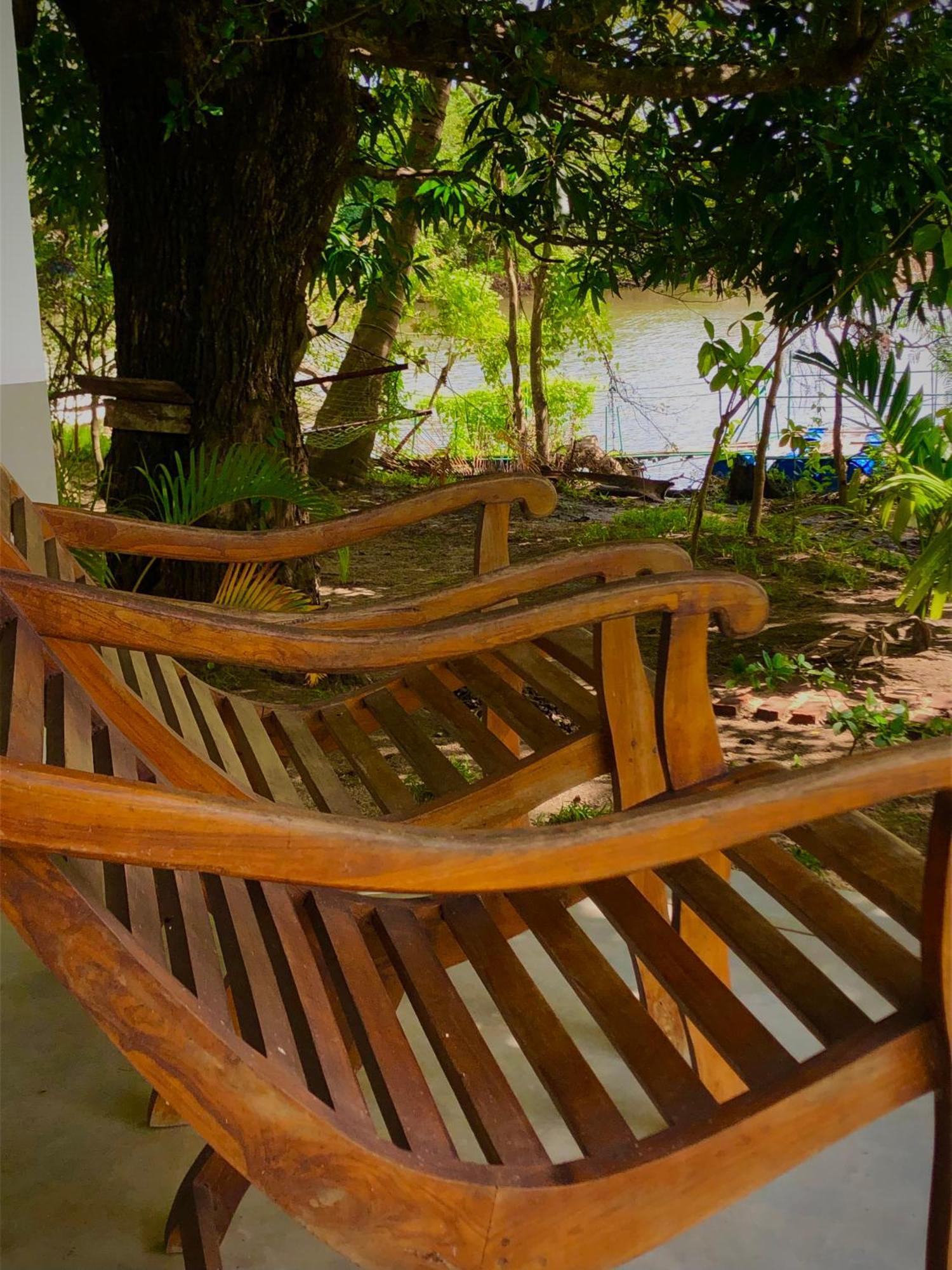Wilpattu Green Cabin Achchamulai Εξωτερικό φωτογραφία