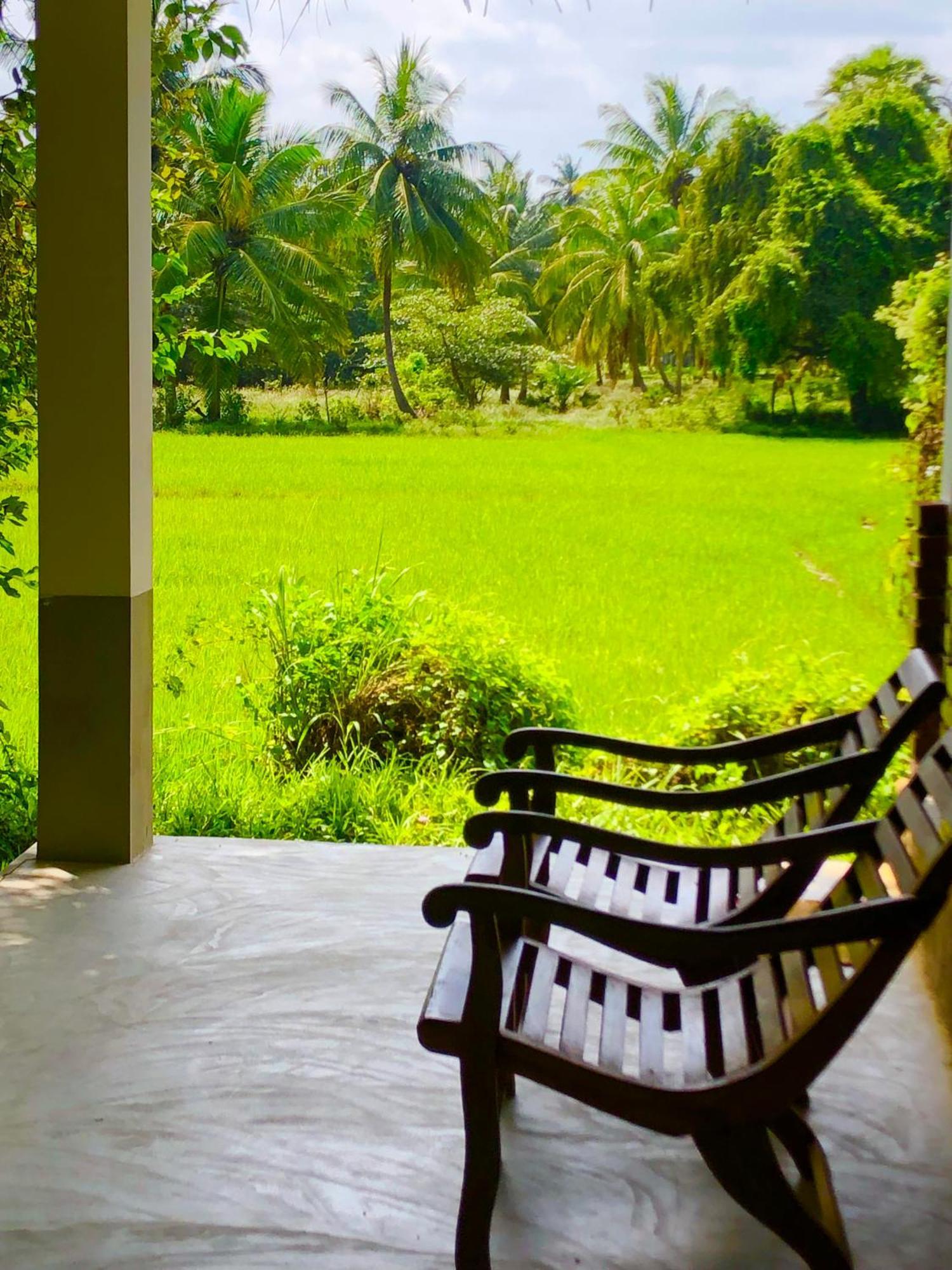 Wilpattu Green Cabin Achchamulai Εξωτερικό φωτογραφία