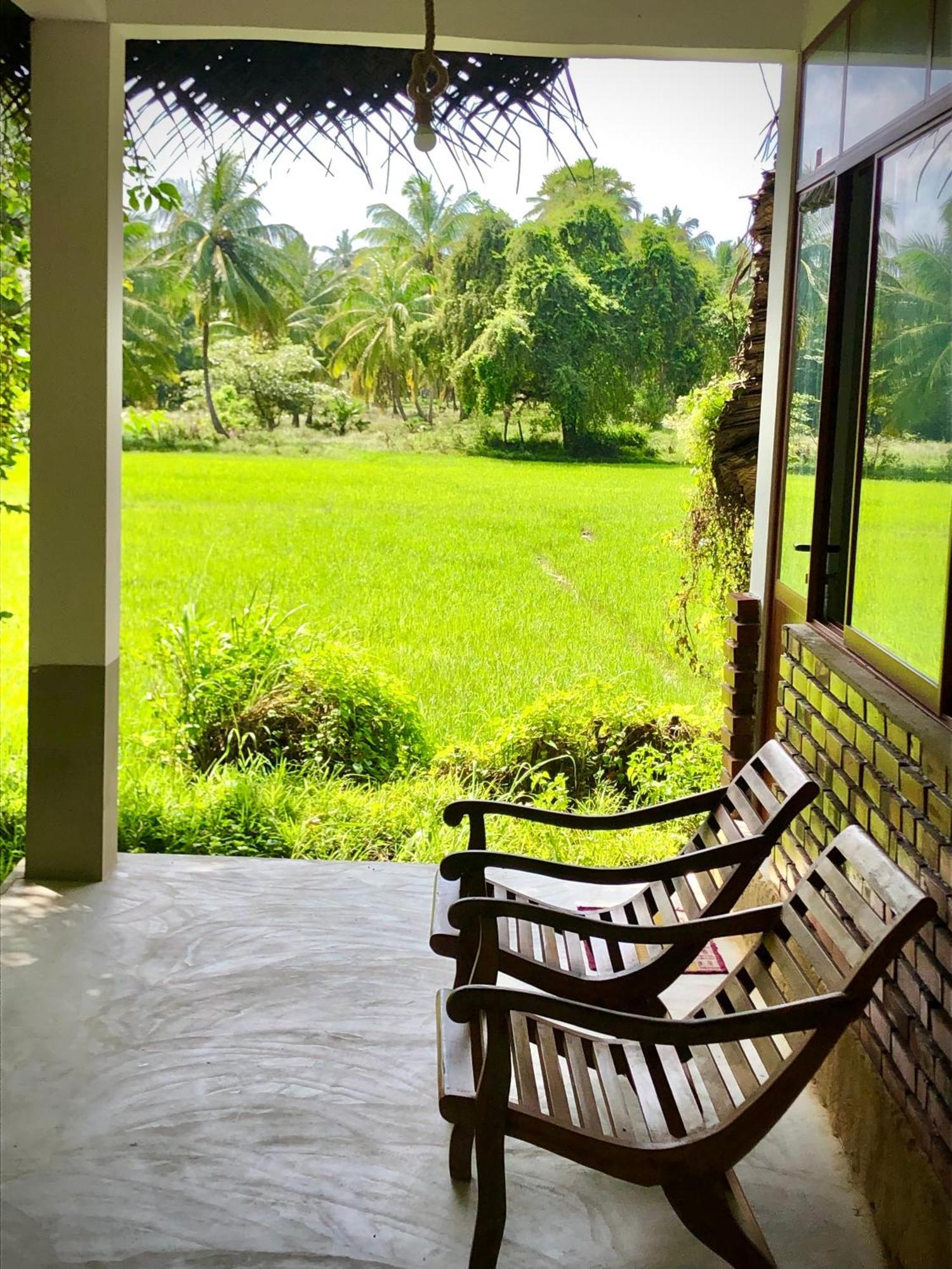 Wilpattu Green Cabin Achchamulai Εξωτερικό φωτογραφία