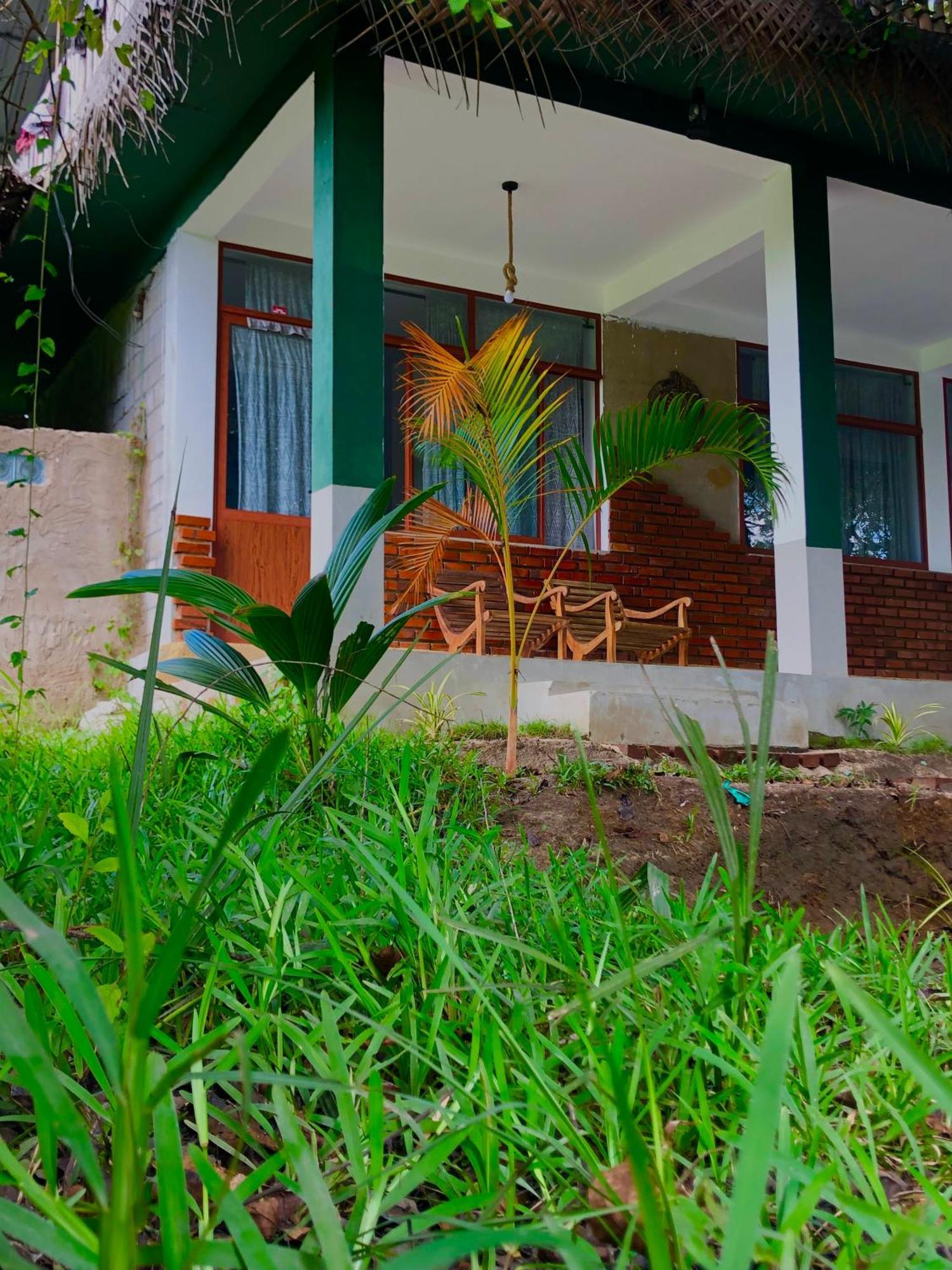 Wilpattu Green Cabin Achchamulai Εξωτερικό φωτογραφία