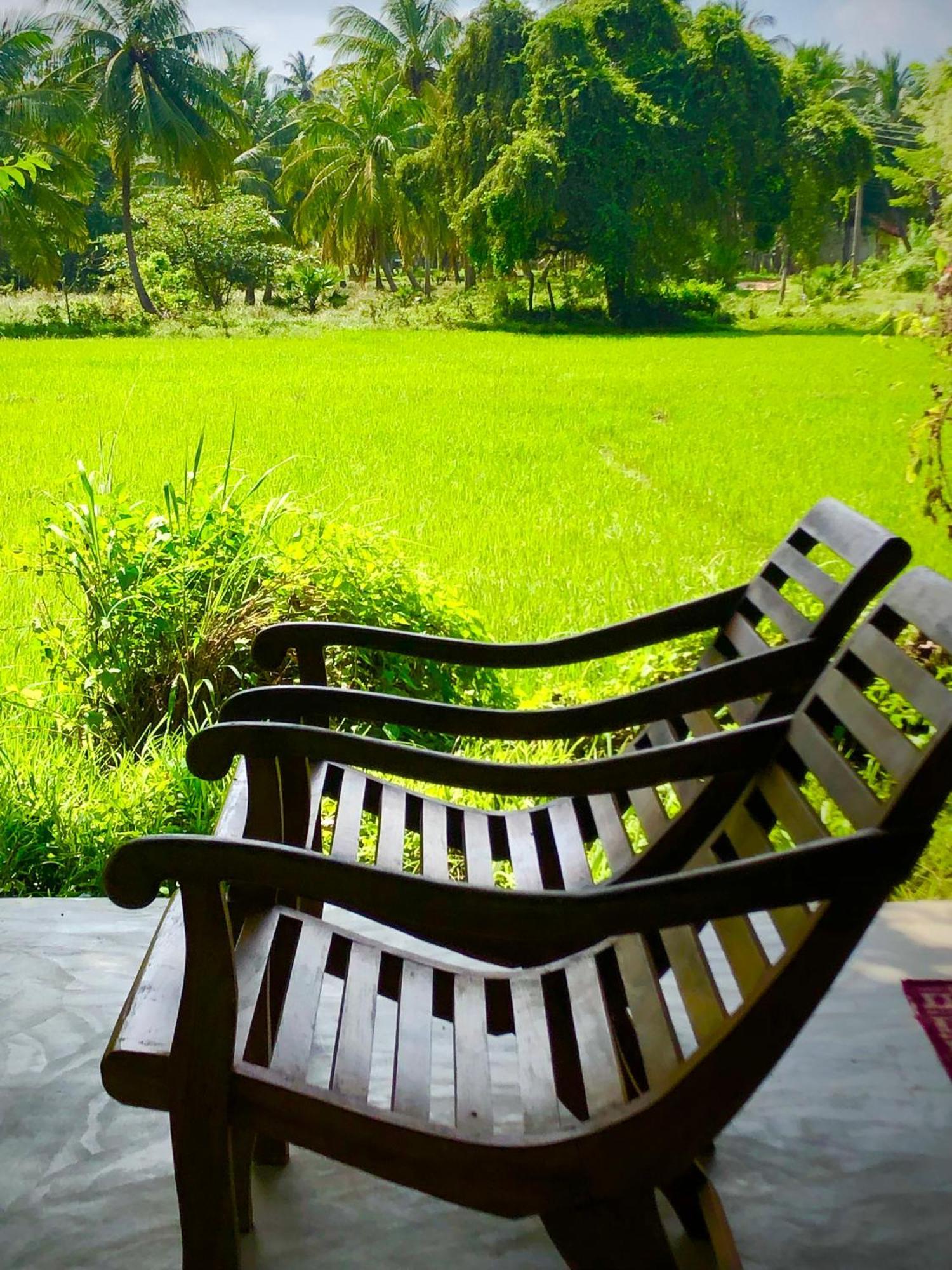Wilpattu Green Cabin Achchamulai Εξωτερικό φωτογραφία