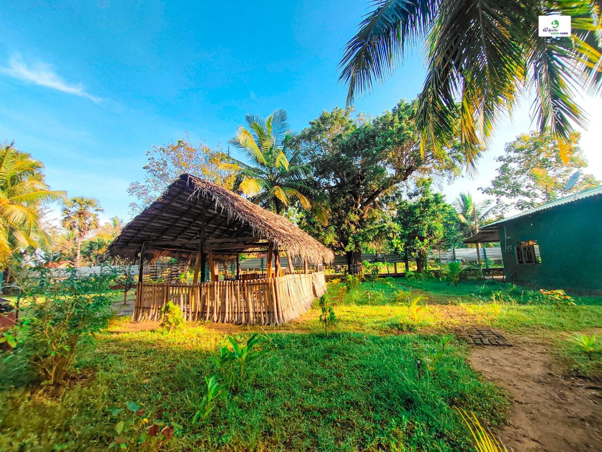 Wilpattu Green Cabin Achchamulai Εξωτερικό φωτογραφία